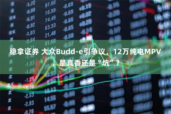稳拿证券 大众Budd-e引争议，12万纯电MPV，是真香还是“坑”？